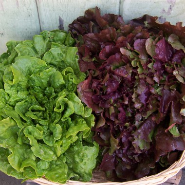Fresh Local Produce